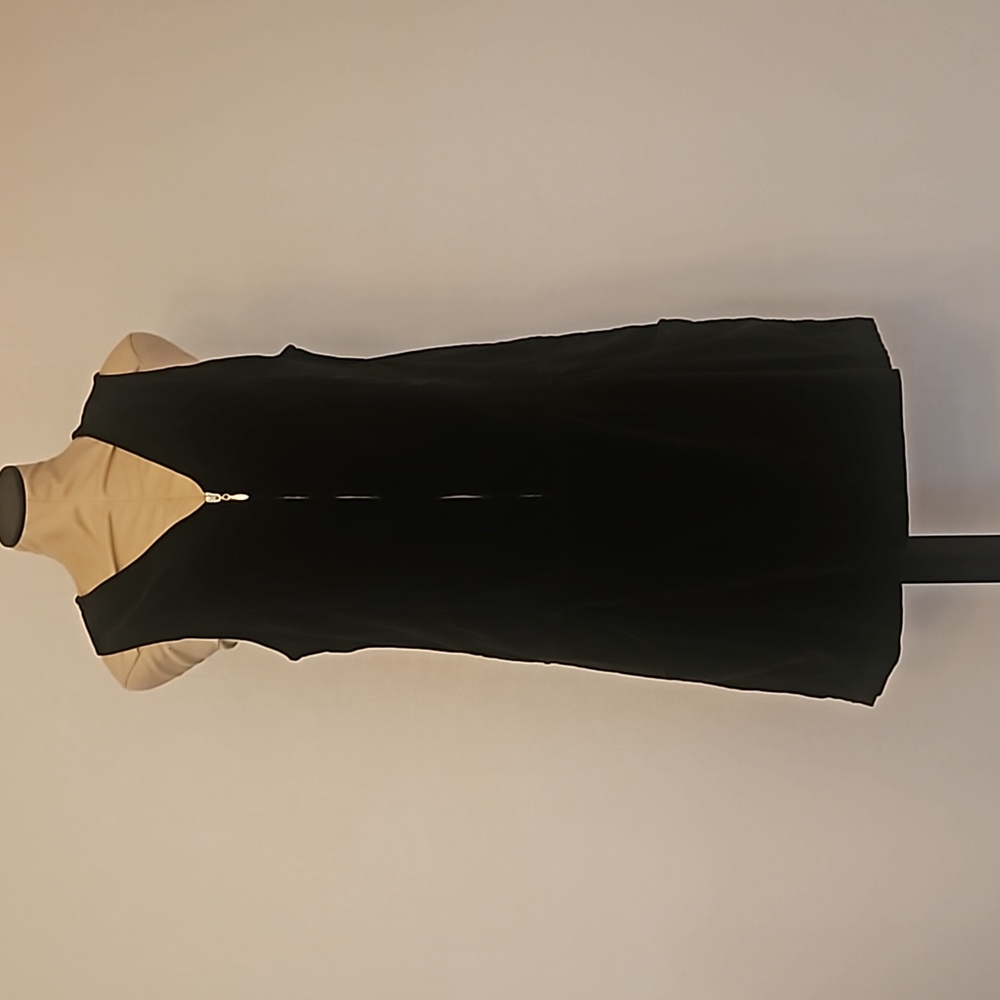 Vintage cotton velvet dress